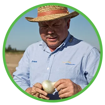 sensient worker holding an onion