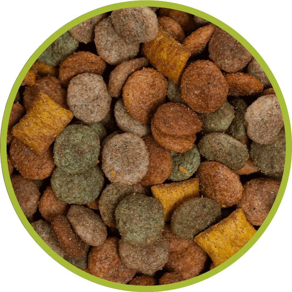 cat food