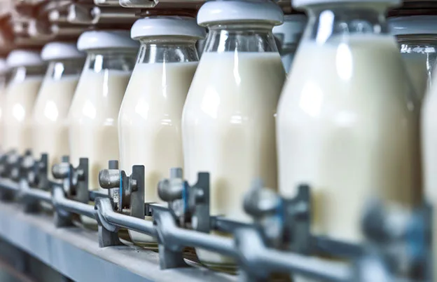 milk