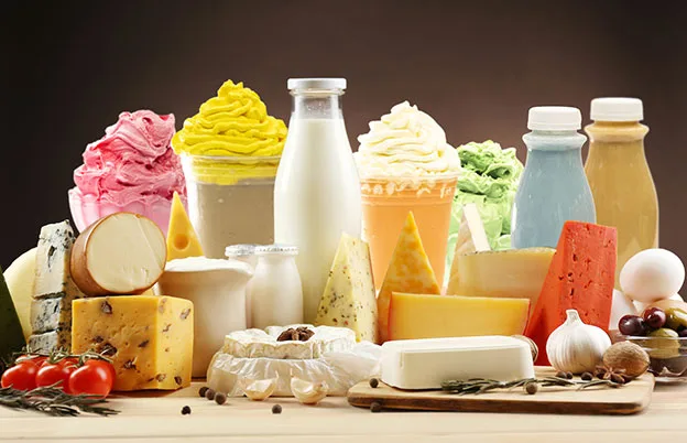 dairy products