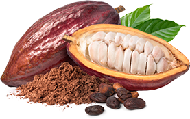 cocoa