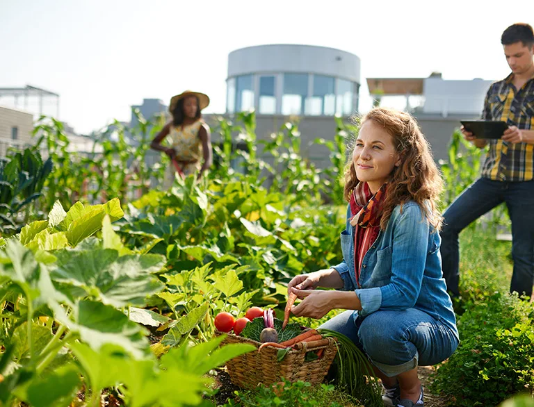 woman in community garden