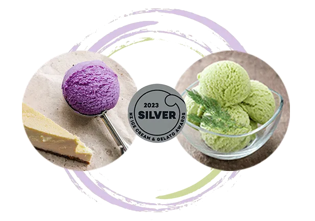 ice cream and gelato award
