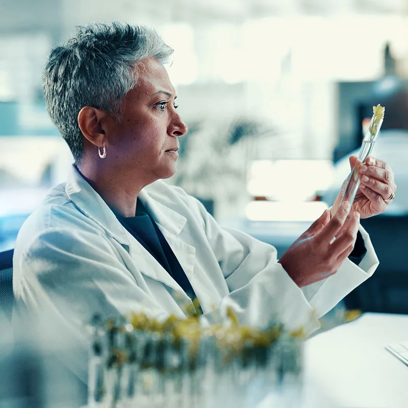 female scientist looking at beaker with plant inside