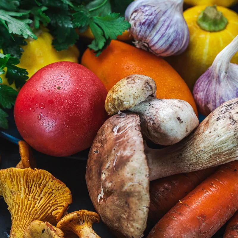 botanical ingredients for natural food colors