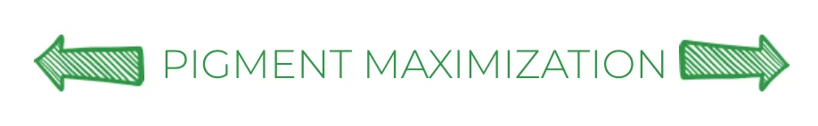 pigment maximization